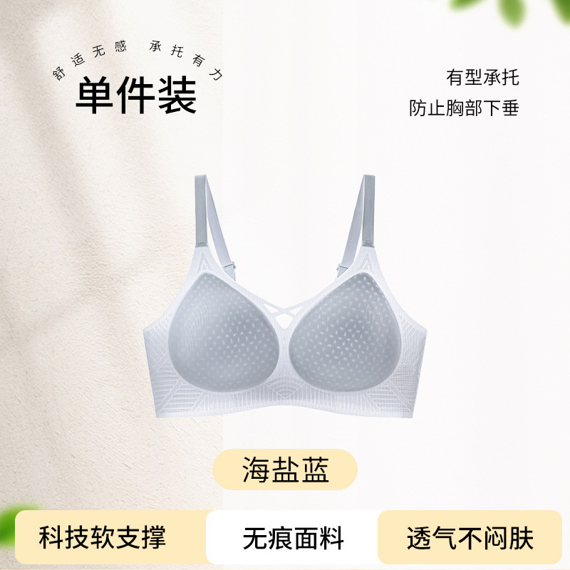 皮小姐BN-2.jpg
